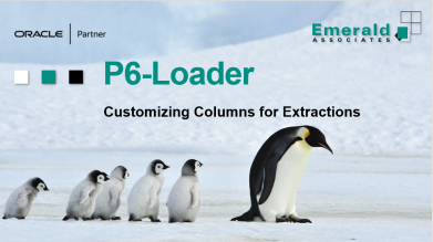 Customizing Columns for Extractions from Primavera P6 Using the P6-Loader